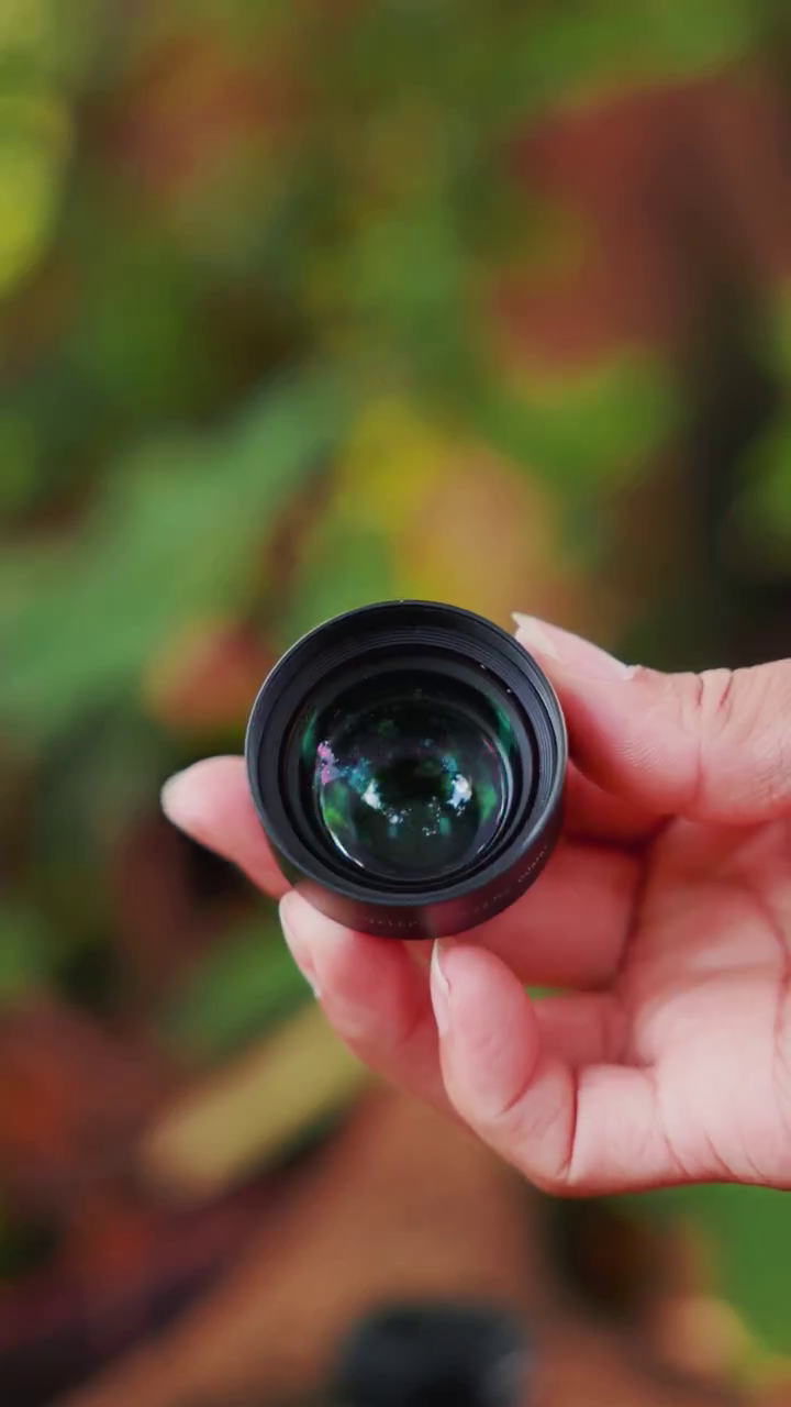 ShiftCam LensUltra 240mm Super Zoom Phone Telephoto Lens for iPhone 17 Pro/16/15 & Android – Fluorite Glass Mobile Camera Lens for Wildlife, Birding, Sports & Concert Photography - Image 15