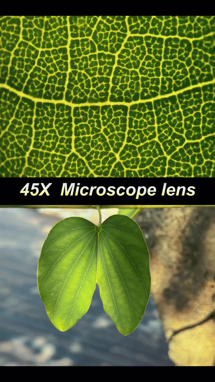ShiftCam LensUltra 240mm Super Zoom Phone Telephoto Lens for iPhone 17 Pro/16/15 & Android – Fluorite Glass Mobile Camera Lens for Wildlife, Birding, Sports & Concert Photography - Image 5